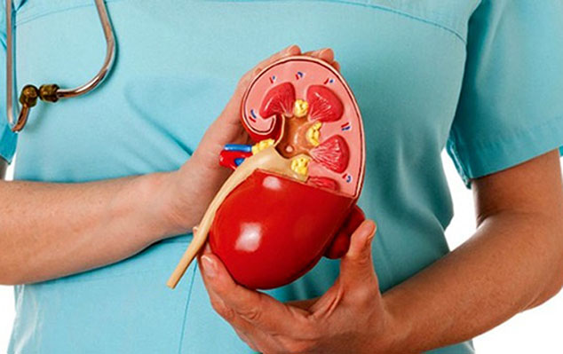 درد کمر و کلیه را اشتباه نگیرید!