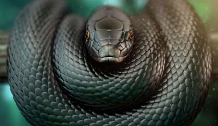 تعبیر خواب مار