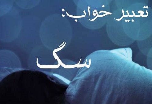 دیدن سگ در خواب به چه معناست؟