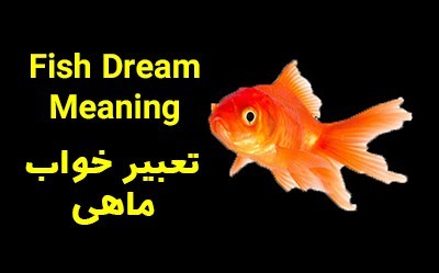 دیدن ماهی در خواب چه تعبیری دارد؟