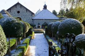 معرفی گلهای سرد سیری و گرمسیری