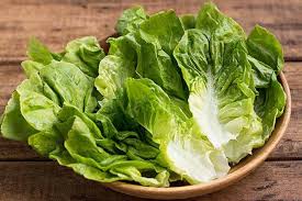 آیا میدانستید کاهو خواب آور است؟