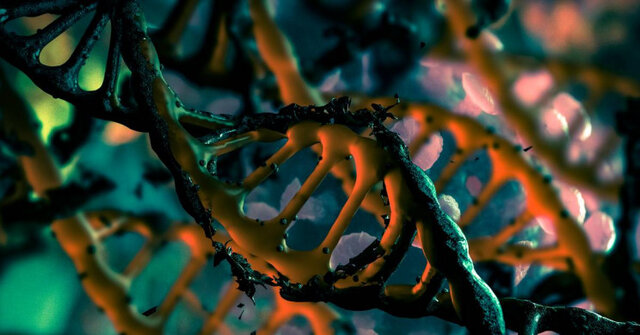 عملکرد "دی‌ ان‌ ای بی‌رمز" کشف شد