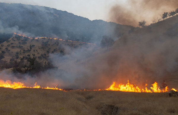 باز آتش به جان جنگل‌های ارسباران افتاد