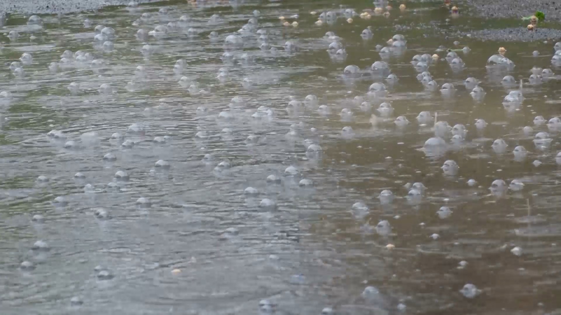 باران هم هوای تهران را «پاک» نکرد