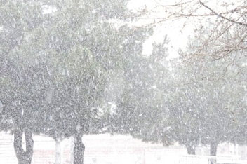 بارش برف و باران در ۱۸ استان کشور/ کاهش محسوس دما در بیشتر مناطق کشور