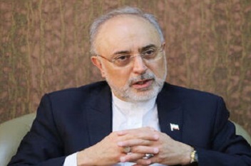 صالحی: افزایش هشت برابری تولید کیک زرد / سالانه ۴۰ تن کیک زرد تولید می‌کنیم