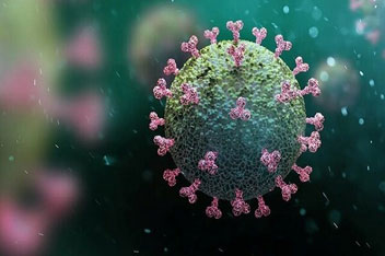 چسبندگی کرونای انگلیسی به سلول های بدن بیشتر است