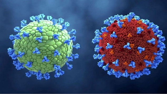 جهش "MU" و خطر ایجاد یک نوترکیبی کرونایی بسیار کشنده