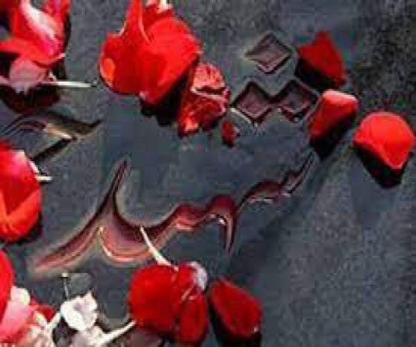 غرق شدن کشتی اماراتی حامل خودرو در آبهای عسلویه