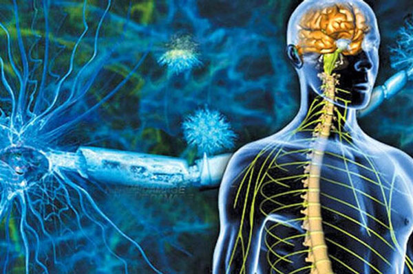 عوامل تشدید کننده بیماری ام اس چیست؟