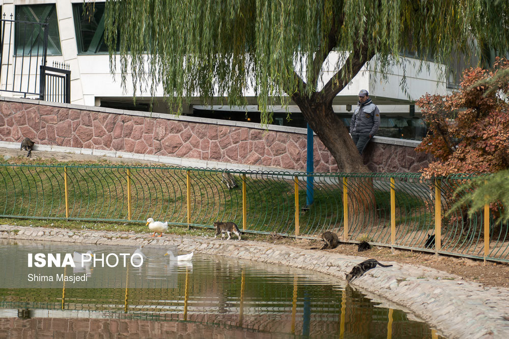 کیفیت هوای پایتخت امروز در محدوده قابل قبول