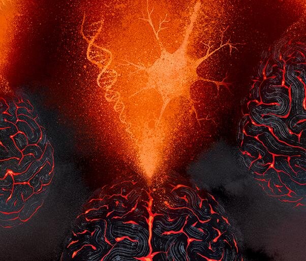 ابزاری که ژن‌های مرتبط با اختلالات مغزی را شناسایی می‌کند