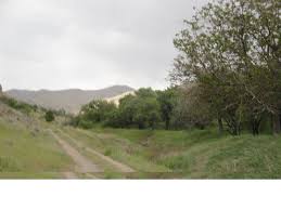 روستای واران