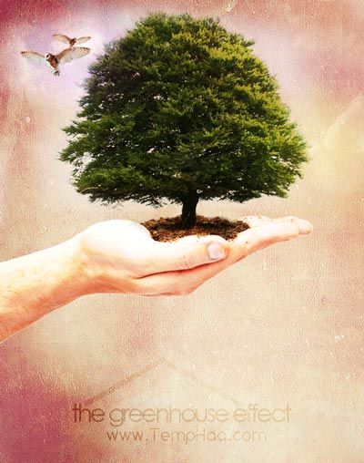 کار و زندگی