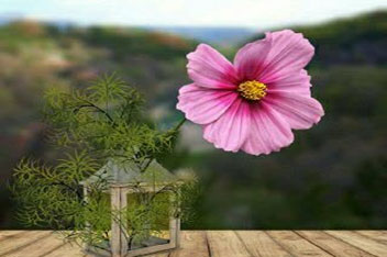 شعر در مورد زندگی