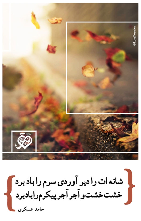 شانه ات را دیر آوردی سرم را باد برد...