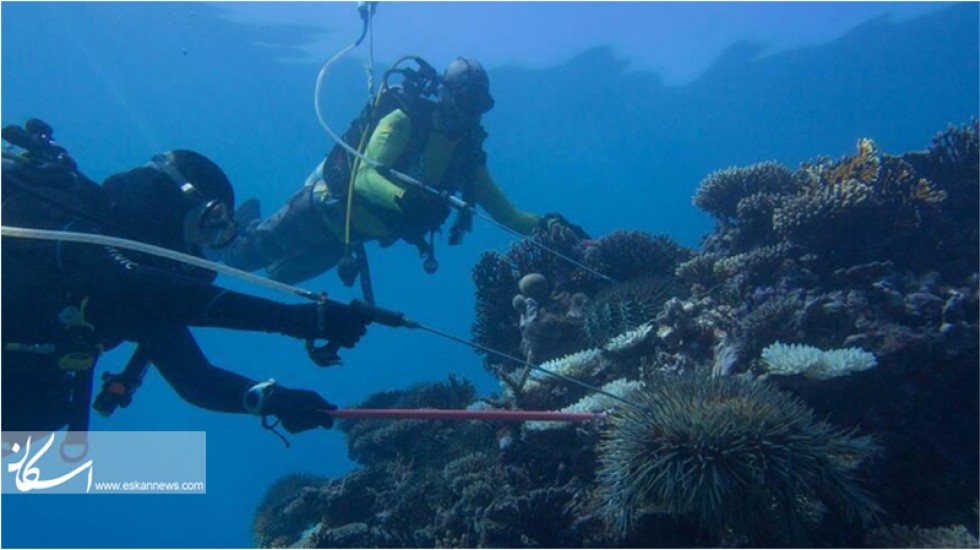 آینده درخشان نوآوری‌های فرهنگی در دستان میراث جهانی دریایی