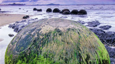 تخته سنگ های موراکی؛ نیوزیلند (Moeraki Boulders)