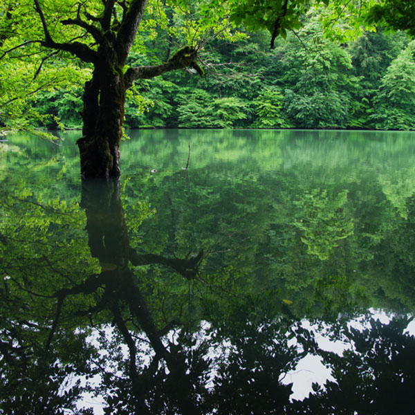 دریاچه چورت