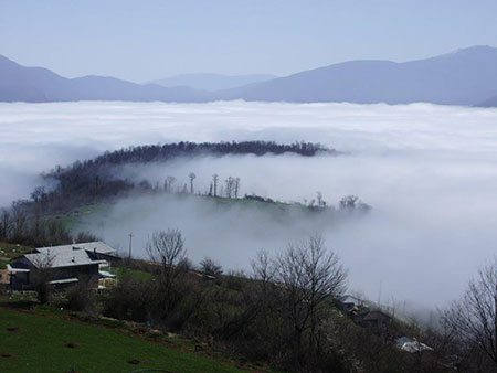 جنگل ابر شاهرود