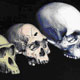 از همانندسازی  DNA تا همانندسازی انسان