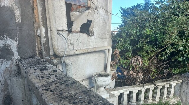 آتش‌ سوزی هتل و سینما ایران در انزلی