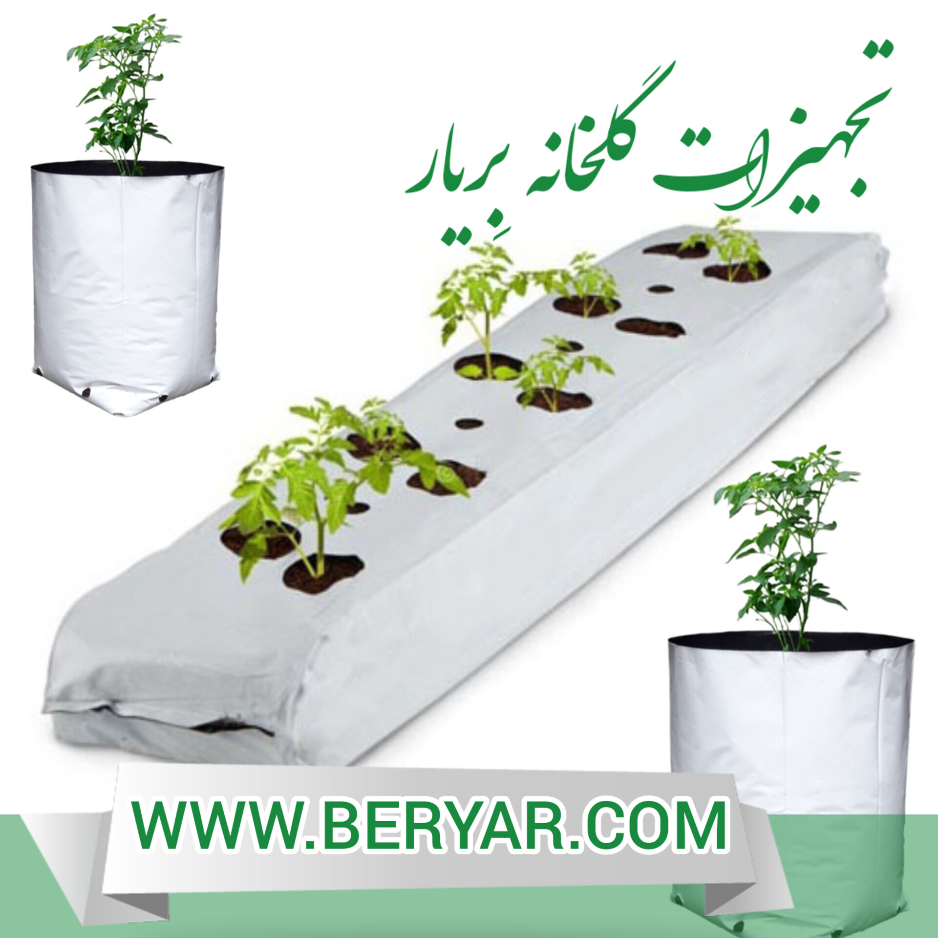 گروبگ یا کیسه کشت