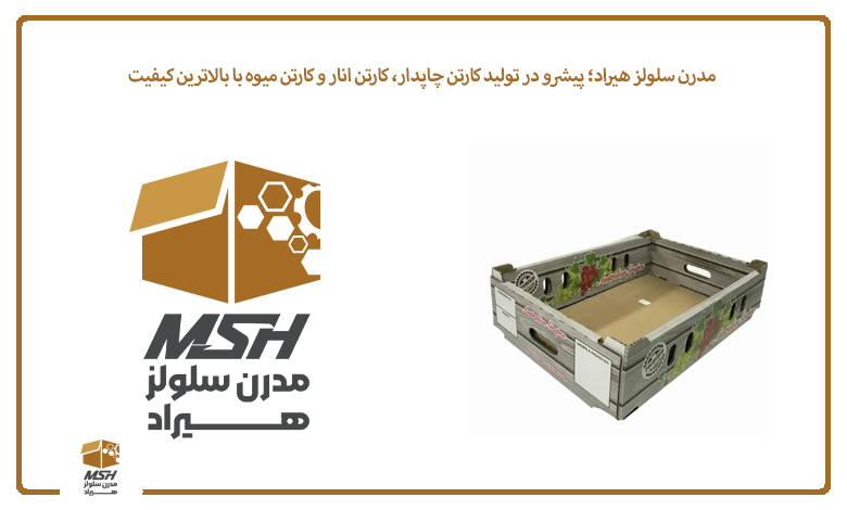 مدرن سلولز هیراد؛ پیشرو در تولید کارتن چاپدار، کارتن انار و کارتن میوه با بالاترین کیفیت
