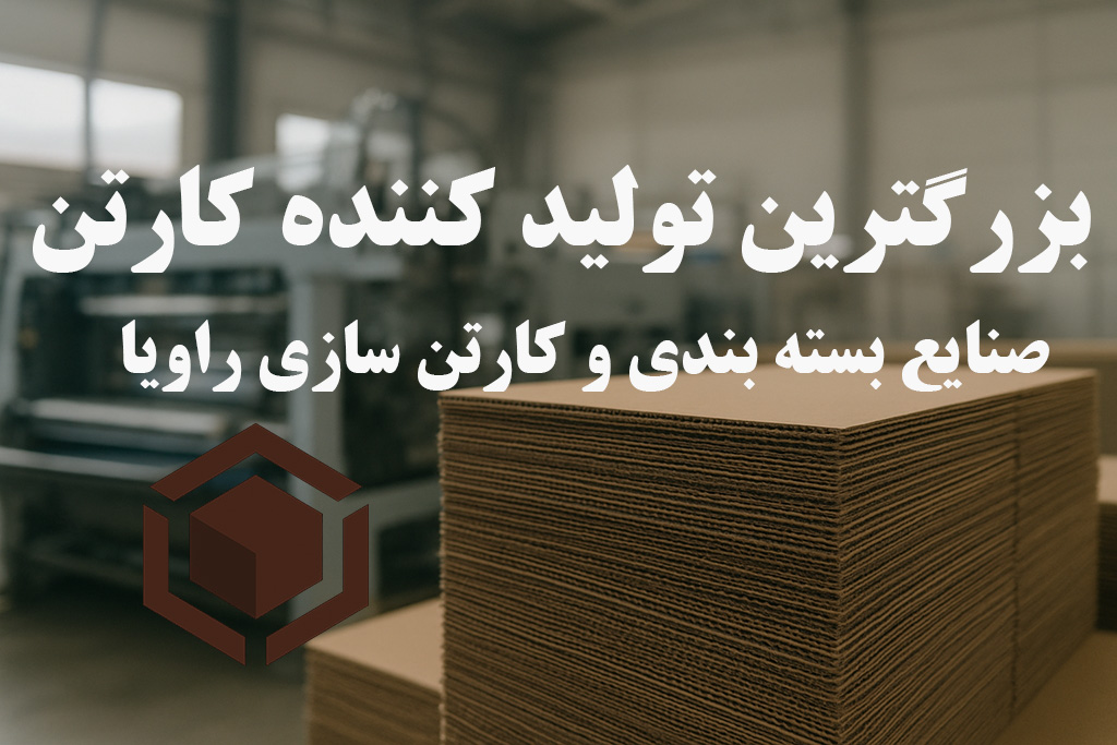 بزرگترین تولید کننده کارتن در ایران؛ معرفی کامل شرکت راویا