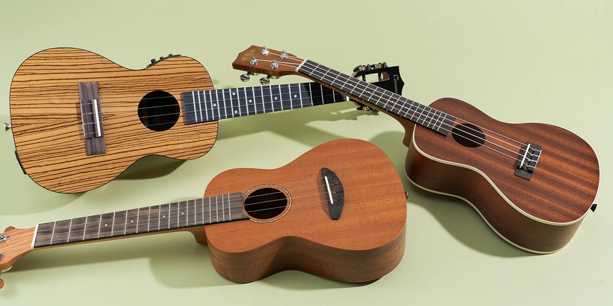 راهنمای خرید پیک یوکللی و موارد کاربری آن