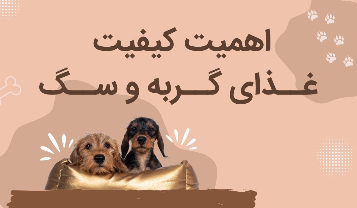 چرا کیفیت غذای گربه و سگ مهمه