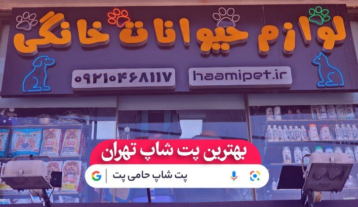 پت شاپ حامی پت فروشگاه لوازم حیوانات خانگی