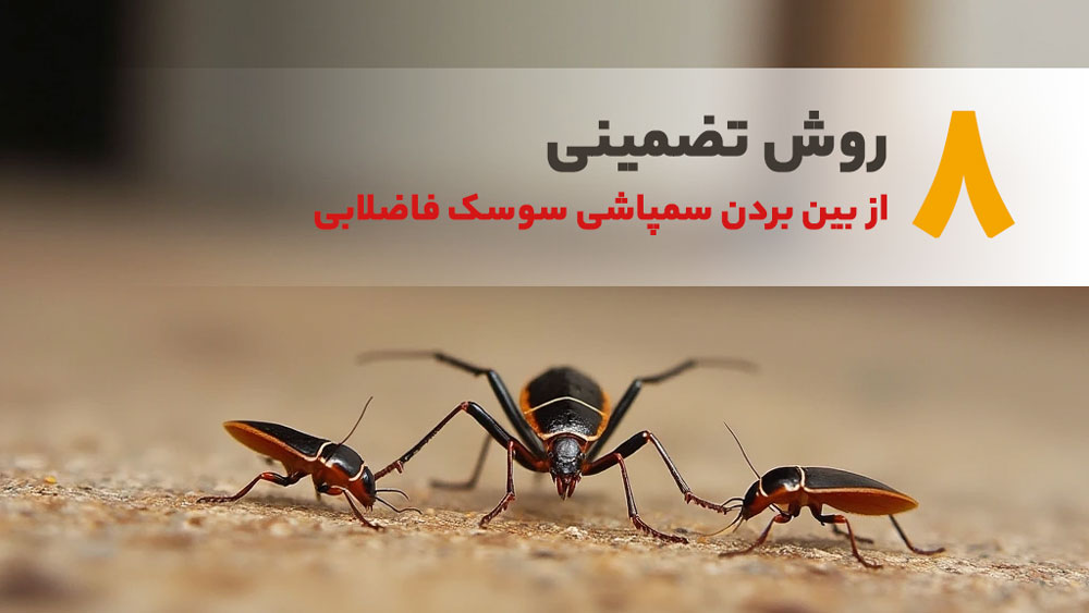 18 روش تضمینی برای ریشه کن کردن سوسک فاضلاب خانگی