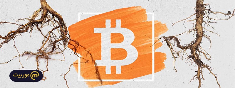 آپدیت تپروت (Taproot) بیت کوین چیست؟